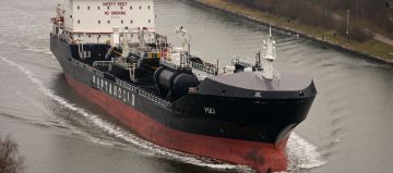 FIONIA SWAN